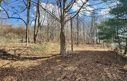 Holloway Rd/State Rt 331, Flushing, OH 43977
