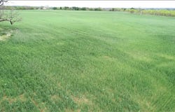 FM 580 Rd, Lampasas, TX 76550