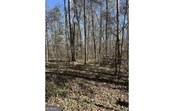 Poplar Mountain Lane, Carnesville, GA 30521