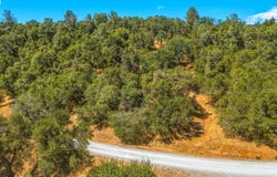 19631 Whitto Mine Rd, Sonora, CA 95370