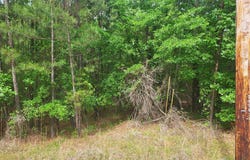 Dianthus Drive, Sparta, GA 31087
