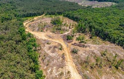 40 ac County Road 118, WATER VALLEY, MS 38965