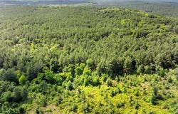 608 Woodsman Trail, Broken Bow, OK 74728