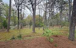 707 Greenwood Drive, DALTON, GA 30720