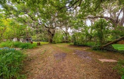 1102 HOFFNER Avenue, ORLANDO, FL 32809