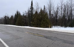 10 AC Old 27 N Highway, Vanderbilt, MI 49795
