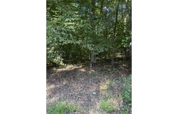 Thompson Road, Hillsboro, WV 24946