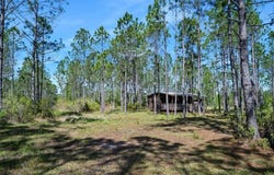 CARTER Street, BUNNELL, FL 32110