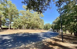 Easy St lot: 1, Frankston, TX 75763
