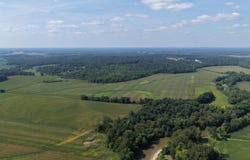 Boy Scout Rd, Centerpoint, IN 47840