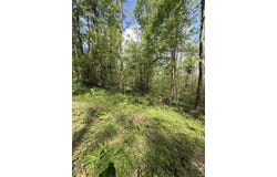 Coon Path Road, Spencer, IN 47460