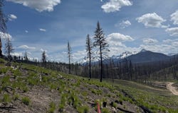 Valley Creek Rd, Stanley, ID 83278