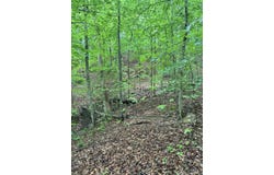 Mt. Scratchum Road, Irvine, KY 40336