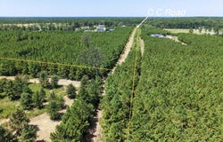 PID 150414 CC Road, Diboll, TX 75941