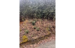 Benton Drive, Etowah, NC 28729