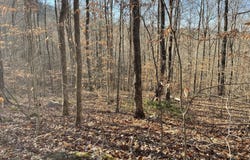 1901 Dixie Bend Road, Burnside, KY 42519