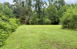 0.50 ac Scott Drive, WATER VALLEY, MS 38965