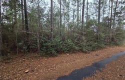 Highway 45, Chunchula, AL 36521