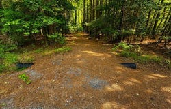 34 PINEY LN lot: 34, PAINTER, VA 23420