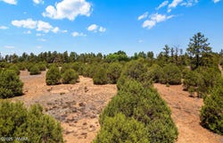 7104 State Route 260, Show Low, AZ 85901