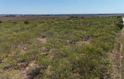 County Road 3230, Abbott, TX 76621