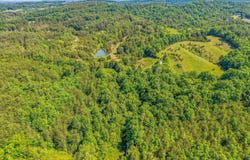 Alex Bales Rd, Kodak, TN 37764