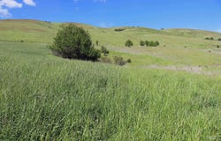 Sunnyside Bench Road, Lenore, ID 83541