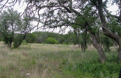 PR 42101 lot: 106 Ph 6, Evant, TX 76525