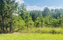 00 Geier W 14 Highway, Mountain View, AR 72560