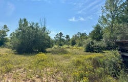 Tract 4 Private Rd 8385, Spurger, TX 77660