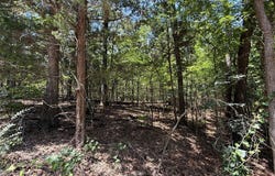 Whispering Pine Trail, Mount Vernon, TX 75457