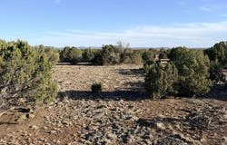 9070 Pinto Trail, Show Low, AZ 85901