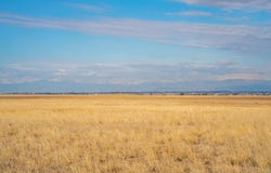 4 CR 51, Ault, CO 80610
