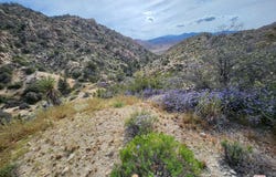 20 W Omega Trl, YUCCA VALLEY, CA 92286