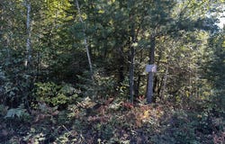 5 AC ON TOWER RD, Phillips, WI 54555