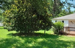 807 E Pennell Street, Carl Junction, MO 64834