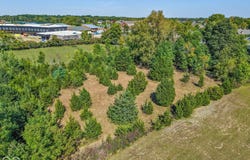 6724 W Stonegate Drive, Zionsville, IN 46077