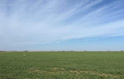 TBD State Highway 6, Crowell, TX 79227
