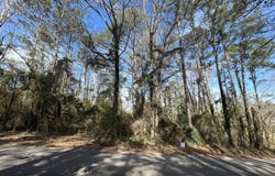 Samples Road, West Point, GA 31833