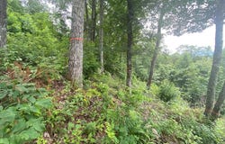Hickory Nut Trail lot: 62, Sylva, NC 28779