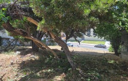 2120 35th AVE, OAKLAND, CA 94601