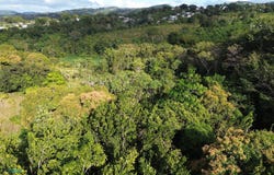 Aguada, Aguada, PR 00602