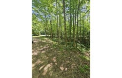 Myrtle Street, Campton, NH 03223
