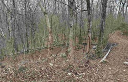 4621 Legacy Preserve Way SE, Brownsboro, AL 35741
