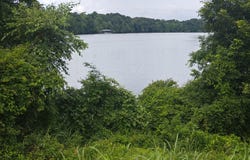 Myers Bend Road, Harrisonburg, LA 71340