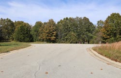Wild Turkey, West Plains, MO 65775