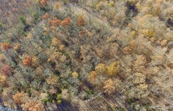 Overlook Dr. lot: 38, Spencer, TN 38585