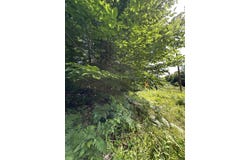 Canton Mountain Road lot: 020, Jay, ME 04239