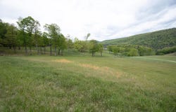 GOLF CLUB RD, FRANKLIN, WV 26807