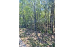 Tower Rd lot: 8, Brodnax, VA 23920